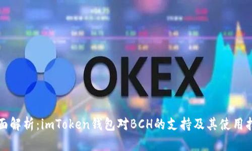 全面解析：imToken钱包对BCH的支持及其使用指南