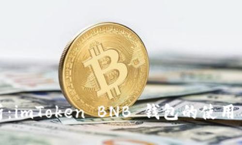 全面解析：imToken BNB 钱包的使用与安全性