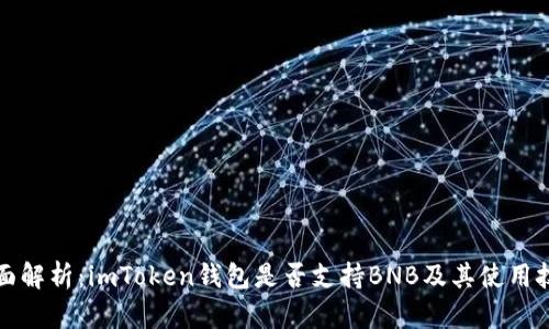全面解析：imToken钱包是否支持BNB及其使用技巧