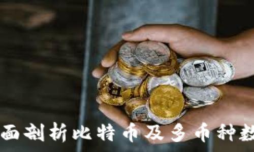   
imToken钱包：全面剖析比特币及多币种数字资产管理工具