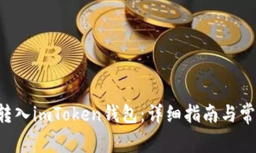 如何将假U转入imToken钱包：详细指南与常见问题解答