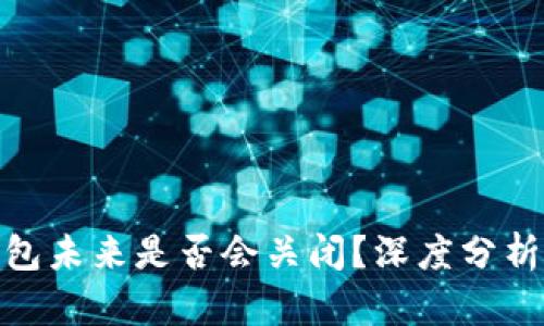imToken钱包未来是否会关闭？深度分析与用户指南