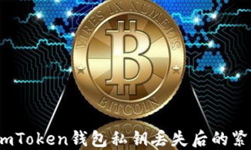 
如何应对：imToken钱包私钥丢失后的紧急处理指南
