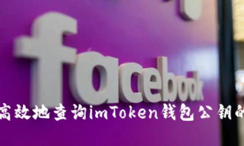 如何安全高效地查询imToken钱包公钥的方法详解